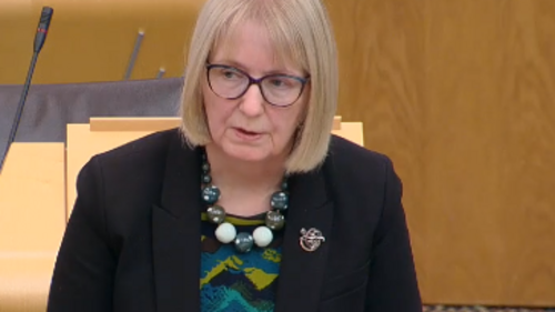 Beatrice Wishart speaks in the Scottish Parliament chamber