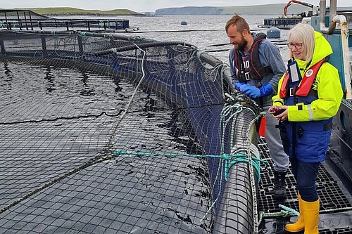 Beatrice visits Cooke aquaculture salmon farm