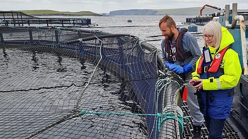 Beatrice visits Cooke aquaculture salmon farm